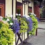 Gosciniec Marzymieta
