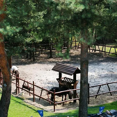 Gosciniec Marzymieta * Czmon