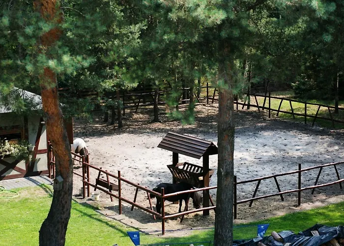 Gosciniec Marzymieta * Czmon